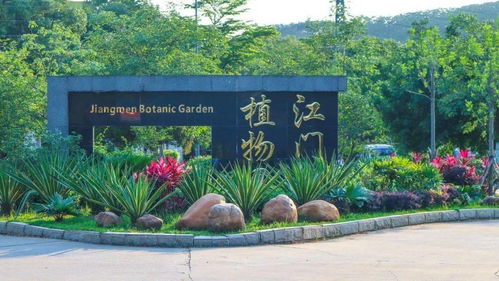 首屆杜阮羊肉美食節盛大啟動，融合美食與冰雪體驗